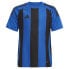 ფოტო #2 პროდუქტის ADIDAS Striped 24 short sleeve T-shirt