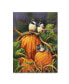 Фото #1 товара Wanda Mumm 'Chickadees And Pumpkins' Canvas Art - 32" x 24" x 2"