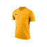 Фото #1 товара Nike JR Tiempo Prem Jersey