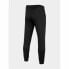 Фото #11 товара Брюки спортивные мужские 4F Adult Trousers