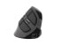 Natec Euphonie - Правая рука - Вертикальный дизайн - Оптическая - Bluetooth - 2400 DPI - Черный