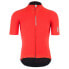 Q36.5 Pinstripe PRO short sleeve jersey