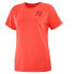 Men’s Short Sleeve T-Shirt Salomon Outlife Small Logo Orange