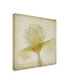 Фото #2 товара Judy Stalus Parchment Flowers IX Canvas Art - 15" x 20"