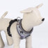 CERDA GROUP Disney Villanas Harness