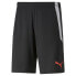 Фото #1 товара PUMA Teamliga 2 Shorts