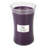 Фото #1 товара Scented candle vase Spiced Blackberry 609.5 g