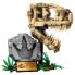 Фото #1 товара LEGO Dinosaur Fossils: T. Rex Skull Construction Game