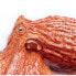 Фото #3 товара SAFARI LTD Octopus Figure