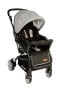 Фото #33 товара Детская коляска Baby Enzo Step20 двухсторонняя с подносом