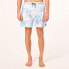 OAKLEY APPAREL Deco Palms RC Swimming Shorts