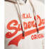 Фото #6 товара SUPERDRY Soda Pop Vintage Logo Classic hoodie