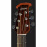 Ovation Celebrity Elite CE44-5-G