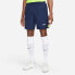 NIKE Tottenham Hotspur FC Dri Fit Stadium 22/23 Shorts