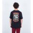 ფოტო #2 პროდუქტის HURLEY Everyday Bowls short sleeve T-shirt