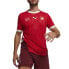 Фото #1 товара Puma Sfv Crew Neck Short Sleeve Home Soccer Jersey Replica Mens Red 77395601