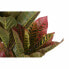Decorative Plant DKD Home Decor Brown Polyethylene Green 50 x 50 x 140 cm