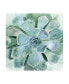 Victoria Borges Verdant Succulent III Canvas Art - 19.5" x 26"