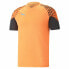 Men's Short-sleeved Football Shirt Puma Individual Cup Training