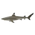 Фото #1 товара Фигурка морского акулы COLLECTA Tiburon Black Punta De Arrecife