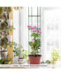 2-Pack Garden Trellis 56" Plant Support & Tomato Cages with Adjustable Height