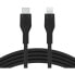USB-C to Lightning Cable Belkin CAA009BT1MBK 1 m