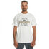 ფოტო #2 პროდუქტის QUIKSILVER Floatin Garouns short sleeve T-shirt