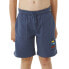 RIP CURL Search Icon Sweat Shorts