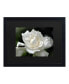 Kurt Shaffer Lovely Gardenia Matted Framed Art - 15" x 20"