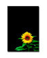 Фото #1 товара Kurt Shaffer 'Sunflower' Canvas Art - 19" x 14"