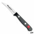 Фото #1 товара Нож для чистки Quttin Sybarite Чёрный Серебристый 6,5 cm (24 штук)